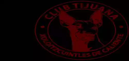 vectores plantilas FUTBOL,